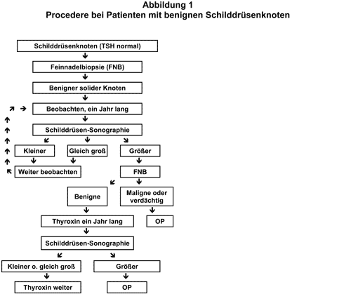 Abbildung 1998-52-1.gif