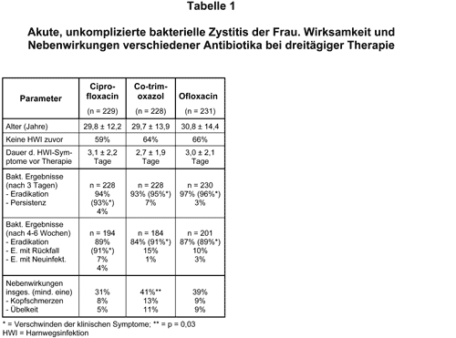 Abbildung 2000-4-1.gif
