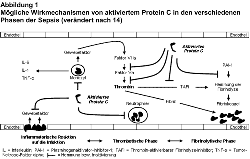 Abbildung 2004-17-1.gif